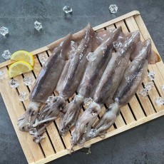 손질 통오징어
