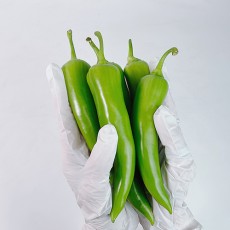 당조고추