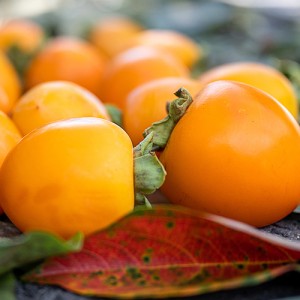 [자체물류] 대봉감