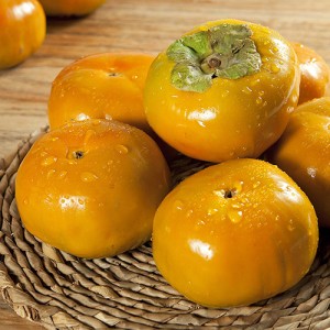 [자체물류] 단감